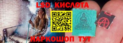 шишки Кингисепп