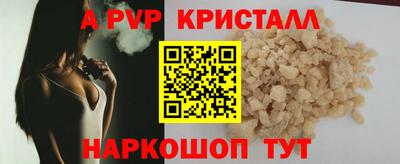 шишки Кингисепп
