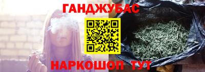 шишки Кингисепп