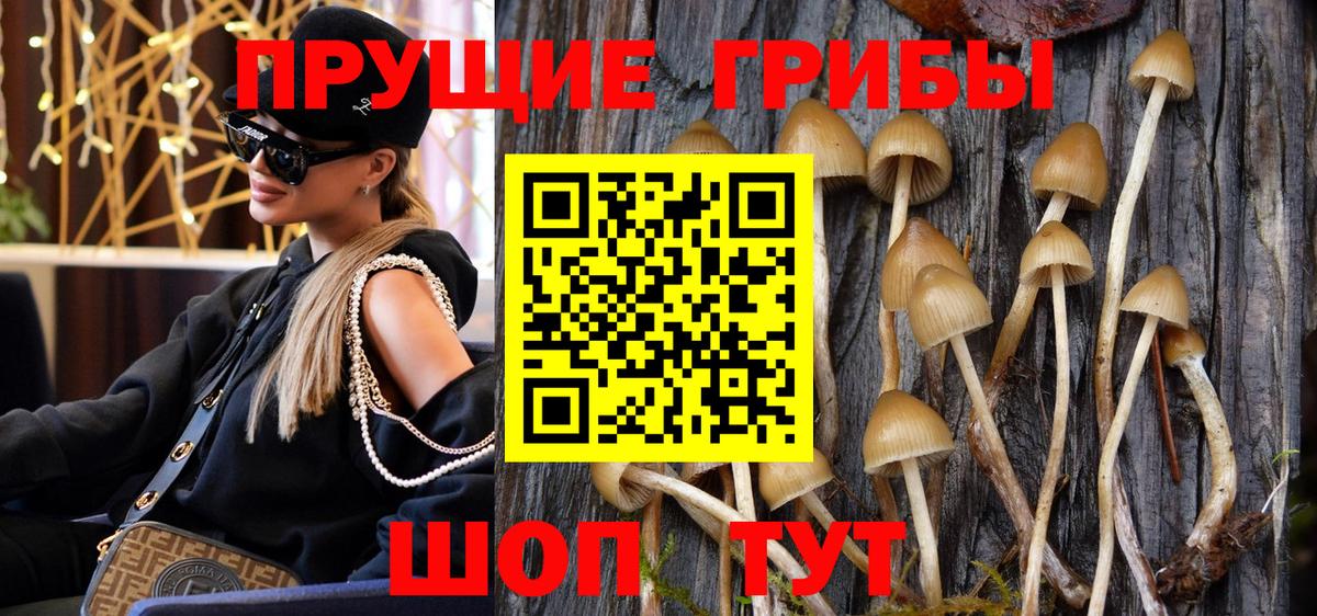 Галлюциногенные грибы Magic Shrooms  Вход с VPN  Красноармейск 