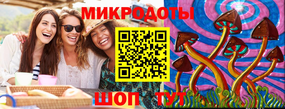 Псилоцибиновые грибы Psilocybe Красноармейск
